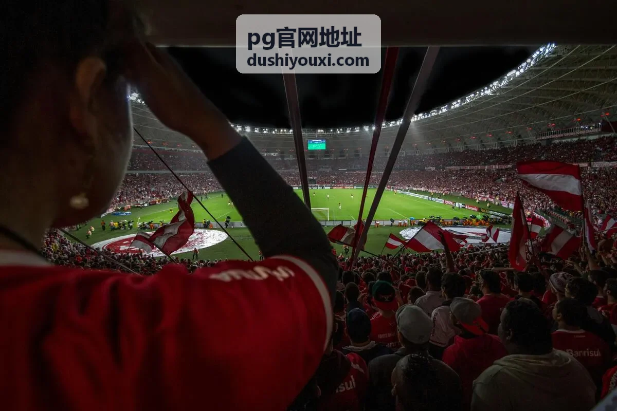 pg官网地址手机端打开前准备示意