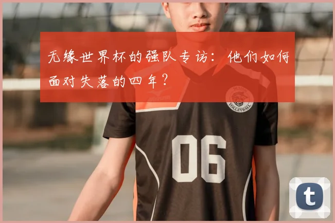 无缘世界杯的强队专访：他们如何面对失落的四年？