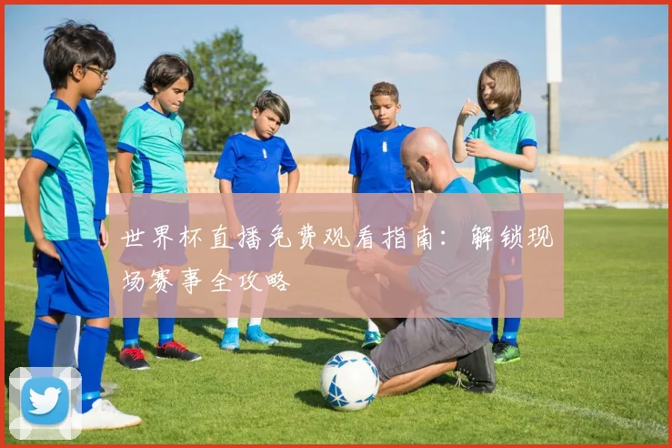世界杯直播免费观看指南：解锁现场赛事全攻略