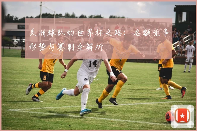 美洲球队的世界杯之路：名额竞争形势与赛制全解析