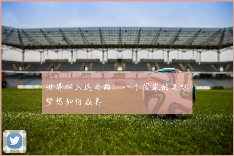 世界杯入选之路：一个国家的足球梦想如何成真